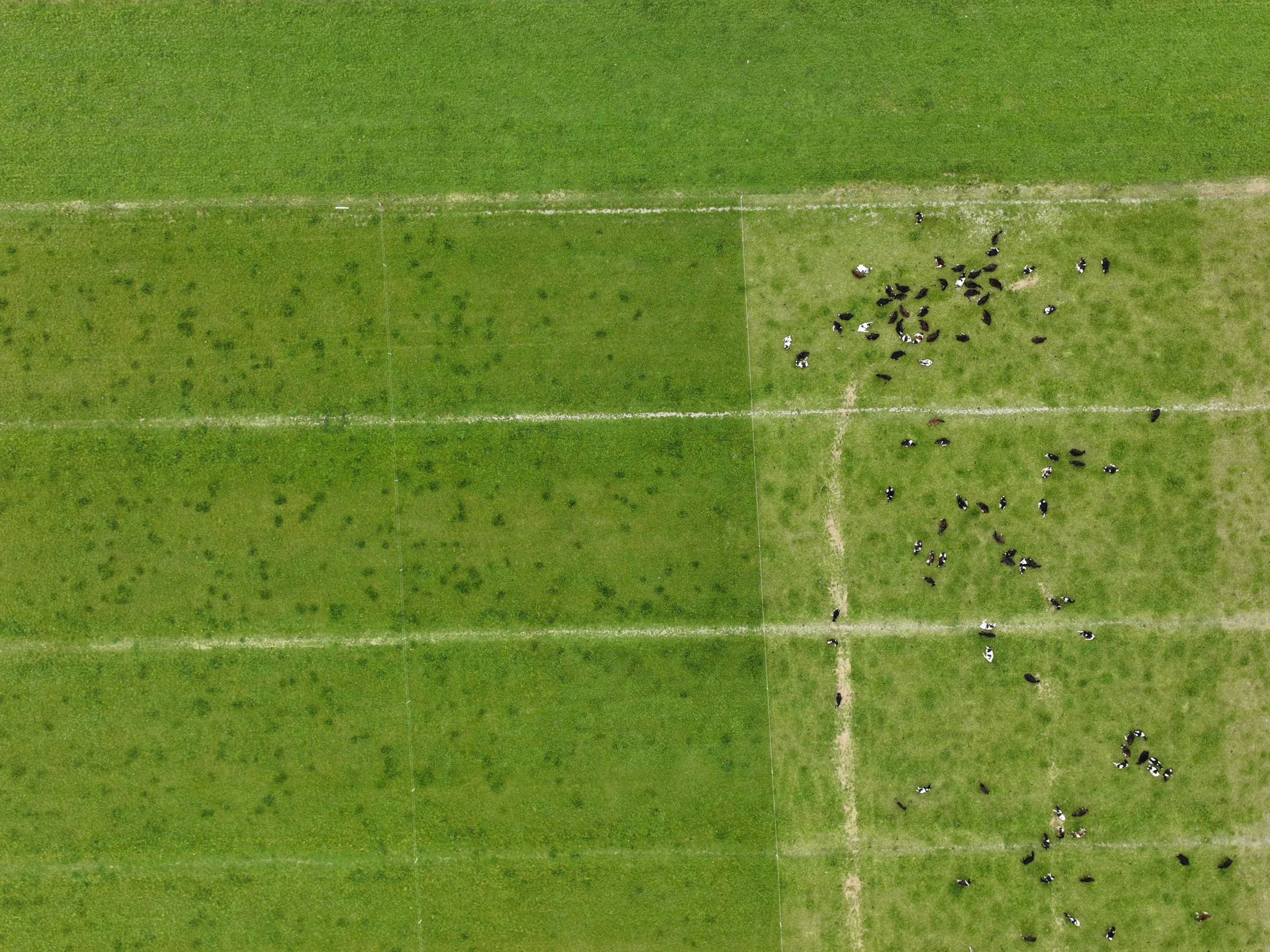 Aerial photography showing the layout and detail of farm paddocks